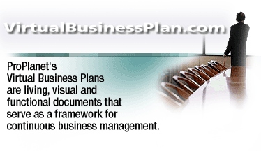 Virtual Business Plan